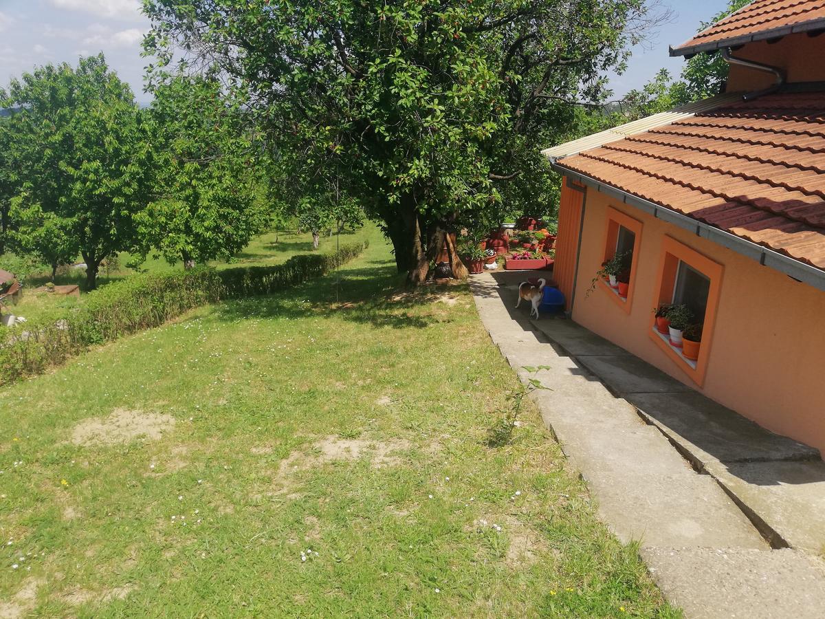 Guest House Jevtovic Sremski Karlovci Bagian luar foto