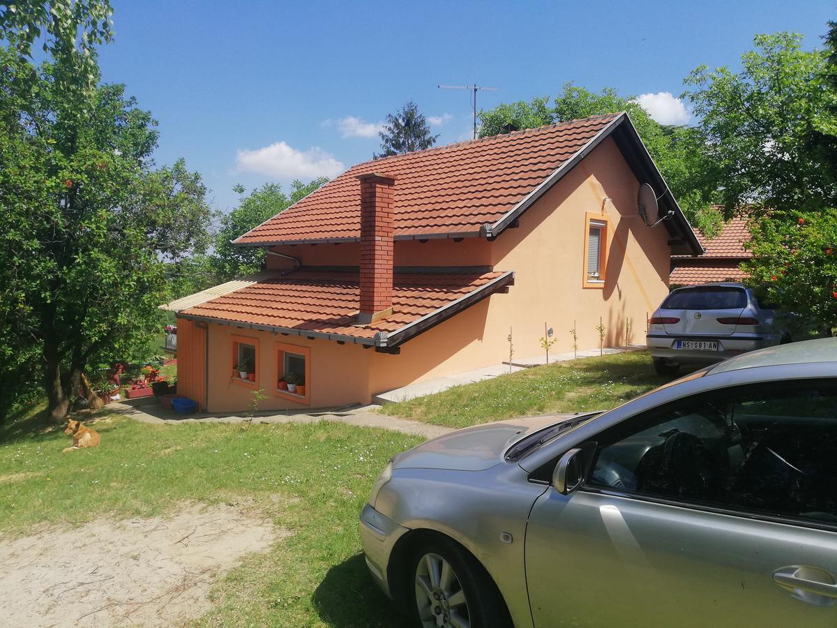 Guest House Jevtovic Sremski Karlovci Bagian luar foto