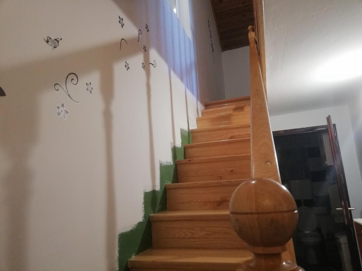 Guest House Jevtovic Sremski Karlovci Bagian luar foto