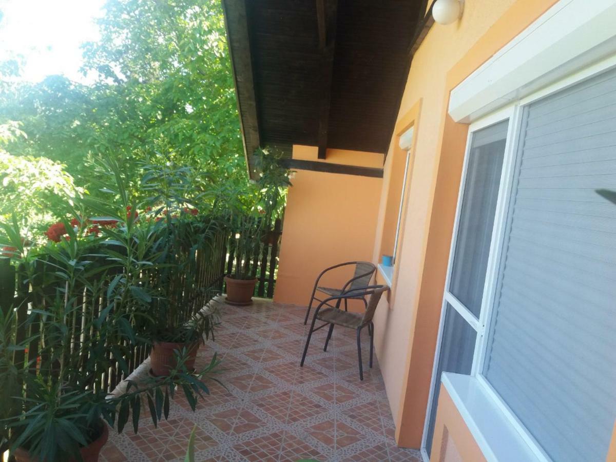Guest House Jevtovic Sremski Karlovci Bagian luar foto